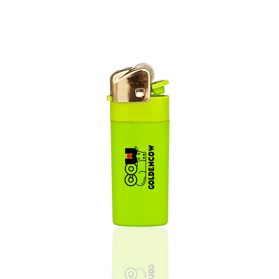 Disposable Flint Gas Lighter V5B